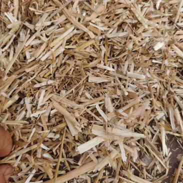精品麦草牛羊草料白亮二次柔丝除尘厂家批价质量保证