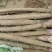 保鲜牛蒡