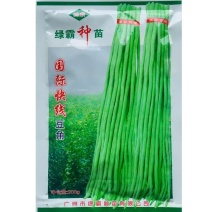 国际快线豆角夏秋特耐热豆角种子南方长豇豆种子花仁厚肉