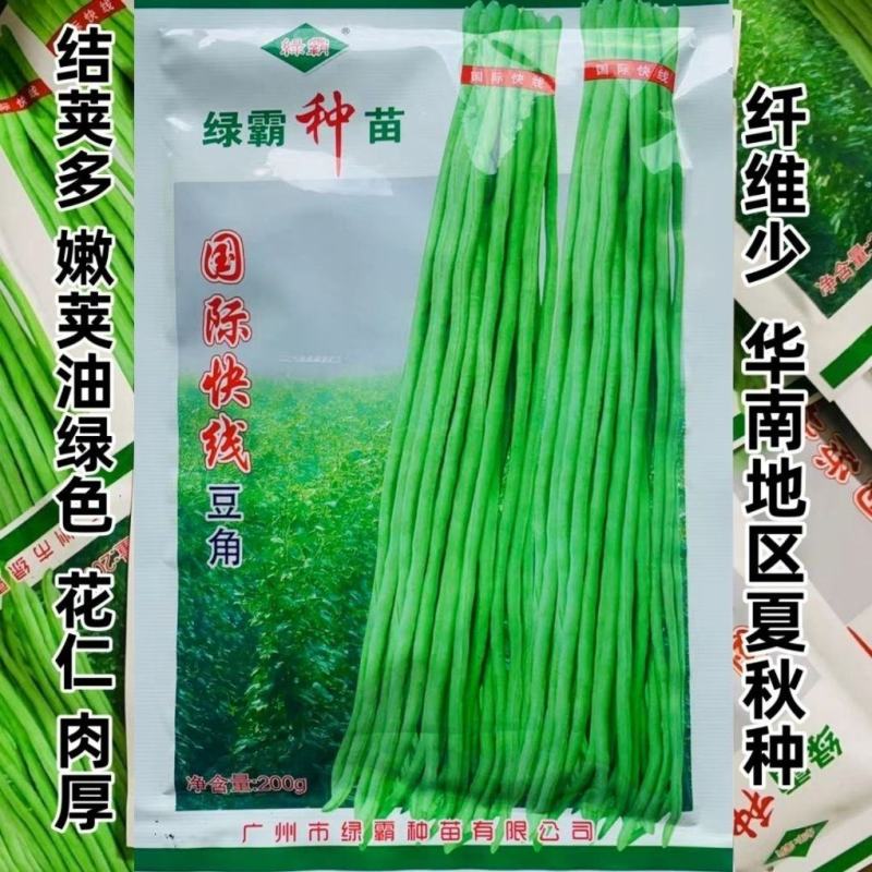 国际快线豆角夏秋特耐热豆角种子南方长豇豆种子花仁厚肉