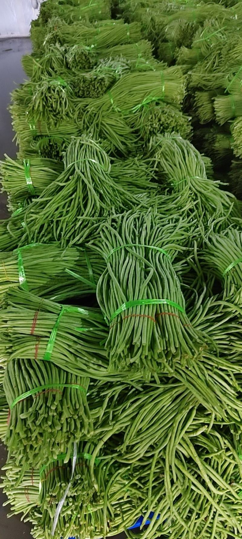 精选长豆角，豇豆，新鲜采摘，支持视频看货，质量可靠