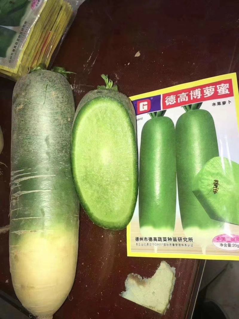 博萝蜜水果萝卜生吃甜脆种子鲜食水果萝卜一代杂交种