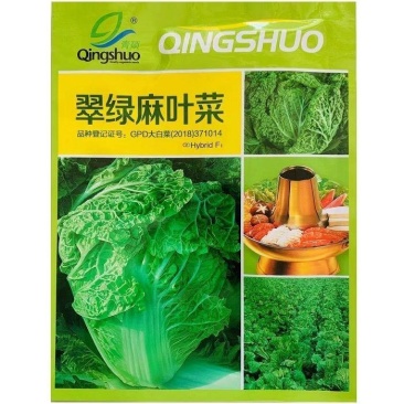 一代杂交种翠绿麻叶菜种子皱叶火锅菜种子抗病涮锅菜大白
