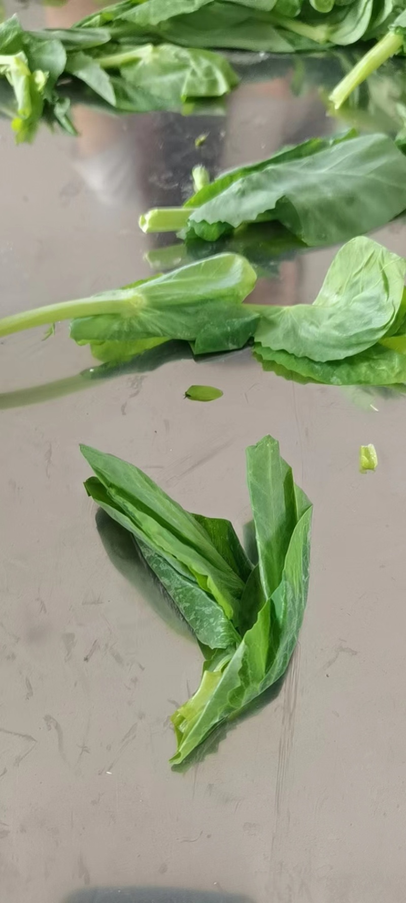 豌豆苗