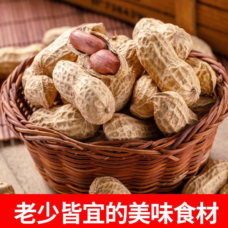 龙岩花生花生炒熟五香味蒜香味水煮白晒咸干花生咸香带壳