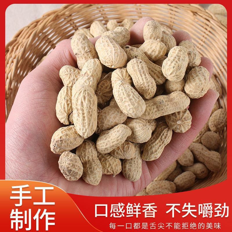 龙岩花生花生炒熟五香味蒜香味水煮白晒咸干花生咸香带壳