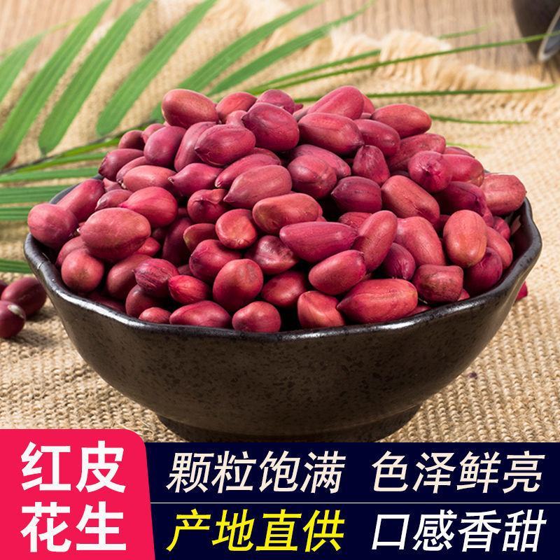 农家铁锅炒花生零食新货新鲜带壳原味四粒红衣红皮熟花生