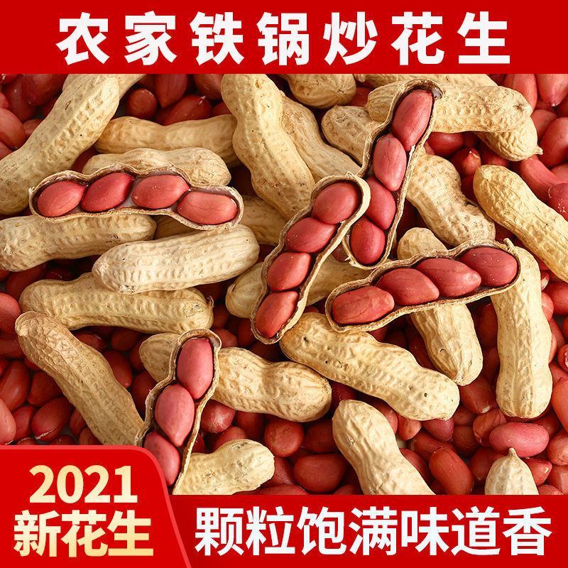 农家铁锅炒花生零食新货新鲜带壳原味四粒红衣红皮熟花生