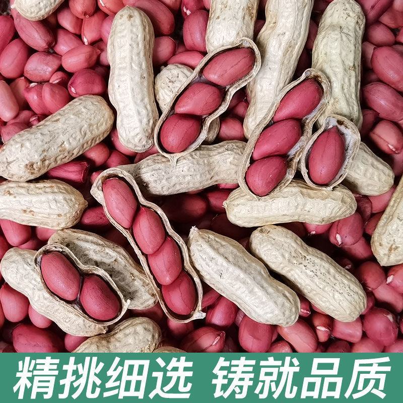 农家铁锅炒花生零食新货新鲜带壳原味四粒红衣红皮熟花生