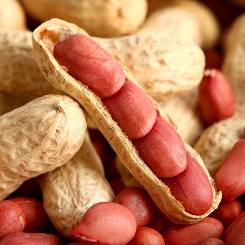 农家铁锅炒花生零食新货新鲜带壳原味四粒红衣红皮熟花生