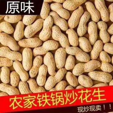 【原味炒熟花生】铁锅炒花生带壳熟花生生花生批发花生包邮