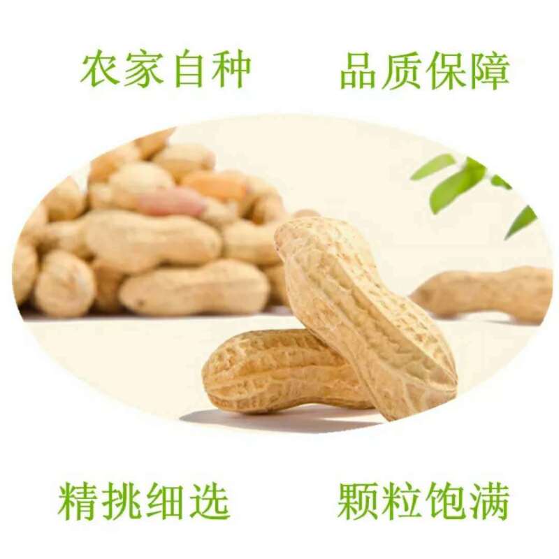 【原味炒熟花生】铁锅炒花生带壳熟花生生花生批发花生包邮