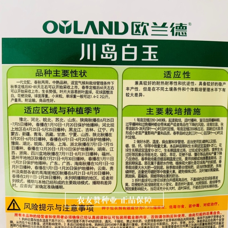 川岛白玉青梗松花菜种子白花菜春秋两用花菜种子米粒细花球大