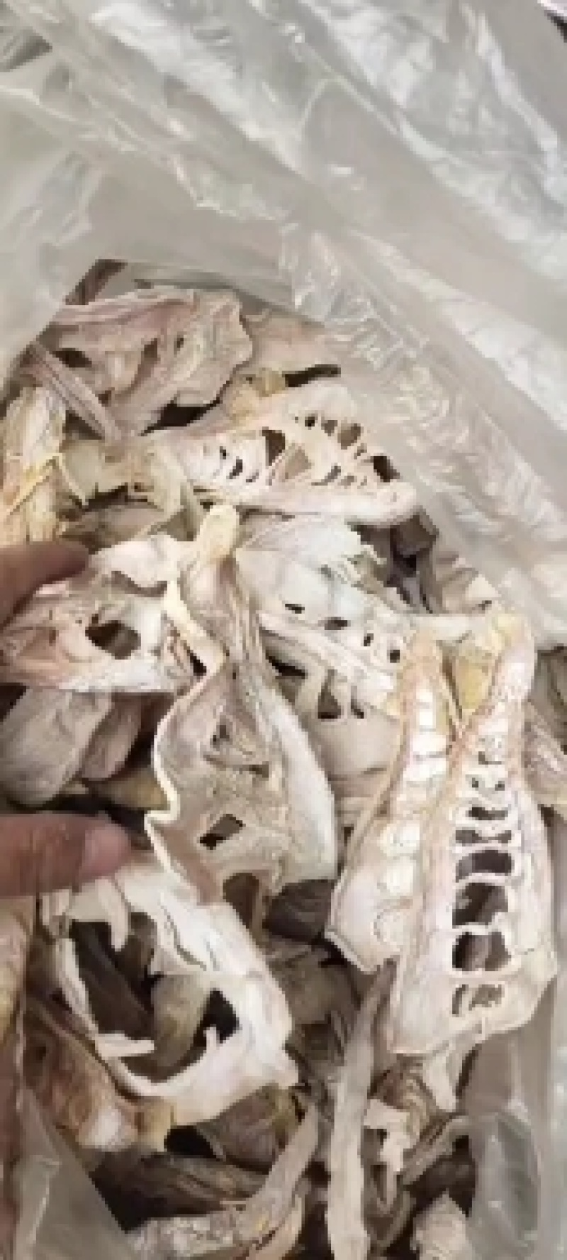带盐毛笋片，性价比极高，微微咸