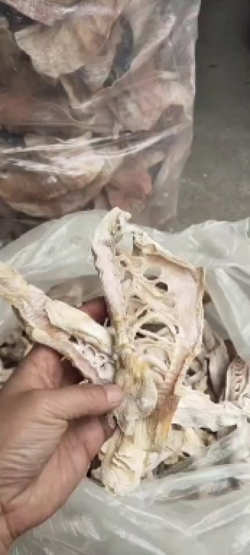 带盐毛笋片，性价比极高，微微咸