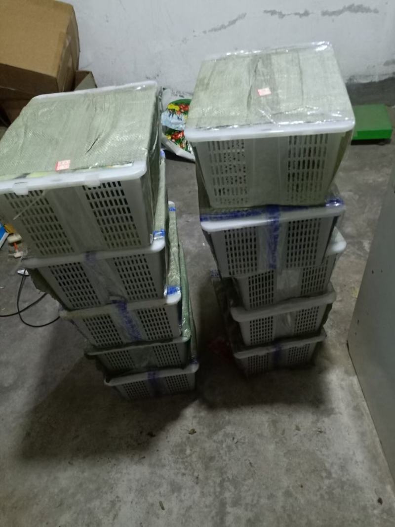 龙眼框二手果筐桂圆筐子海鲜筐子周转筐缕空篮子带盖框子