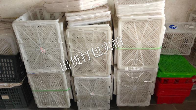 龙眼框二手果筐桂圆筐子海鲜筐子周转筐缕空篮子带盖框子