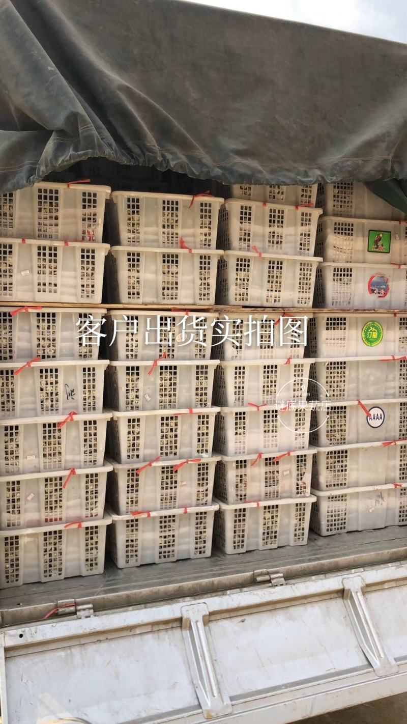 龙眼框二手果筐桂圆筐子海鲜筐子周转筐缕空篮子带盖框子