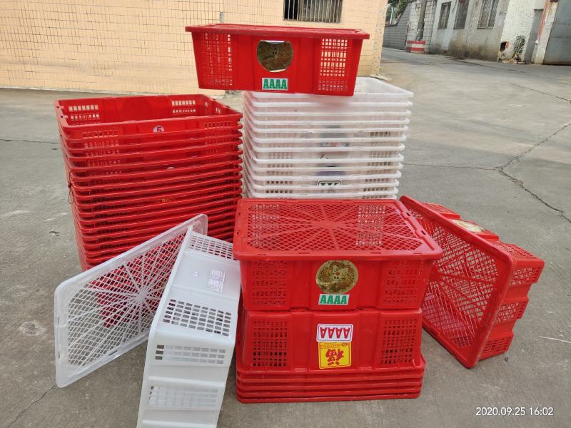 龙眼框二手果筐桂圆筐子海鲜筐子周转筐缕空篮子带盖框子