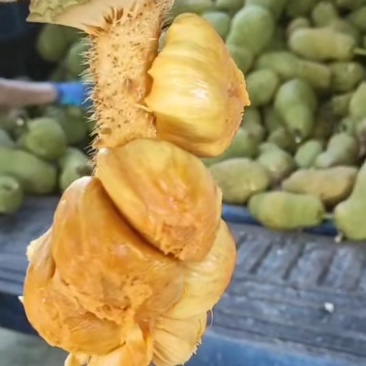海南尖蜜拉榴莲蜜产地直销现摘现发价格优惠