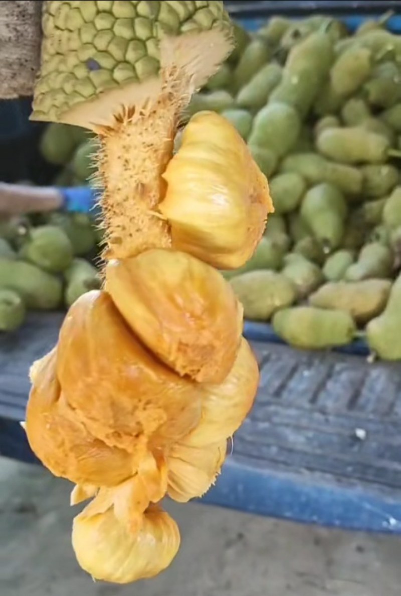 海南尖蜜拉榴莲蜜产地直销现摘现发价格优惠