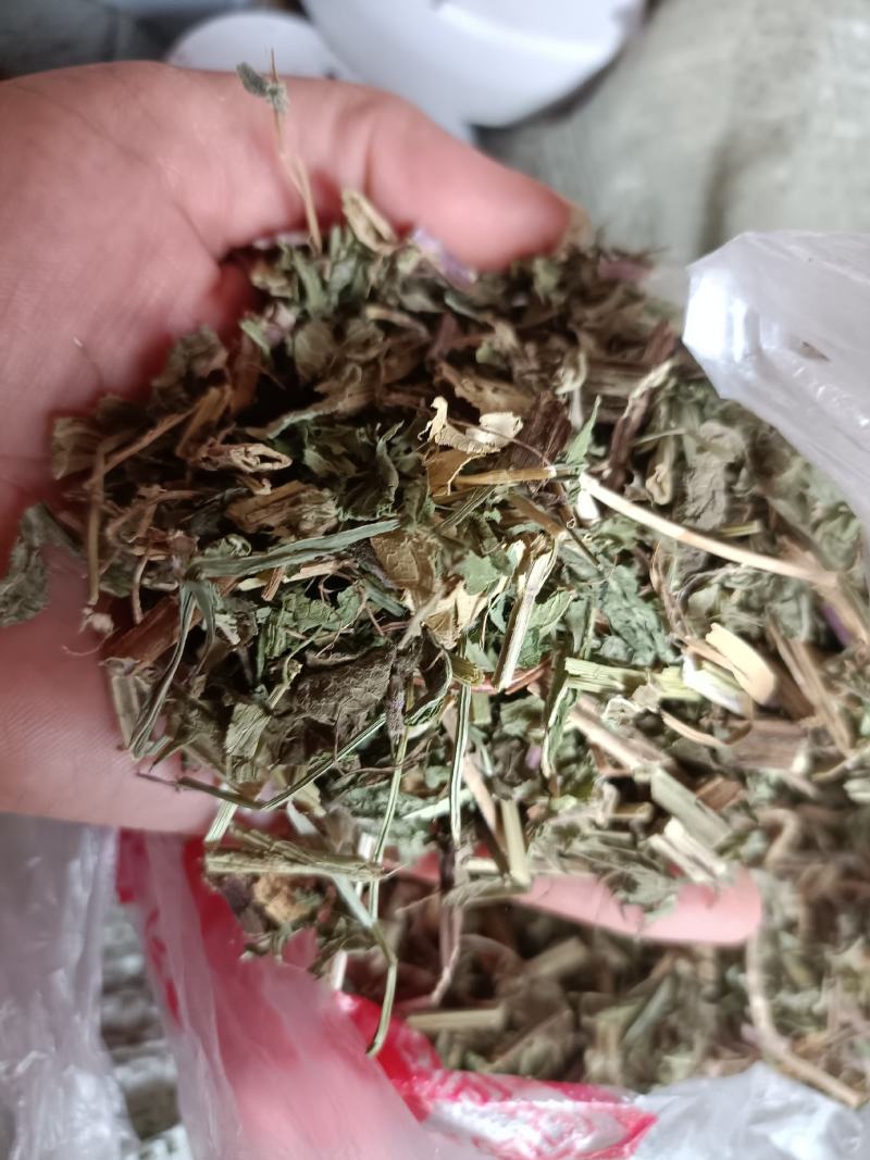 薄菏片野生批发无药香味浓入药泡茶绝绝子一手货源5斤起批