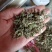 薄菏片野生批发无药香味浓入药泡茶绝绝子一手货源5斤起批