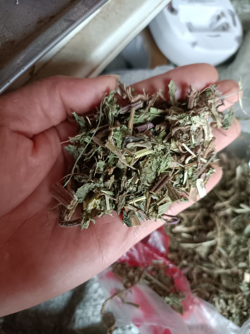 薄菏片野生批发无药香味浓入药泡茶绝绝子一手货源5斤起批