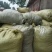薄菏片野生批发无药香味浓入药泡茶绝绝子一手货源5斤起批