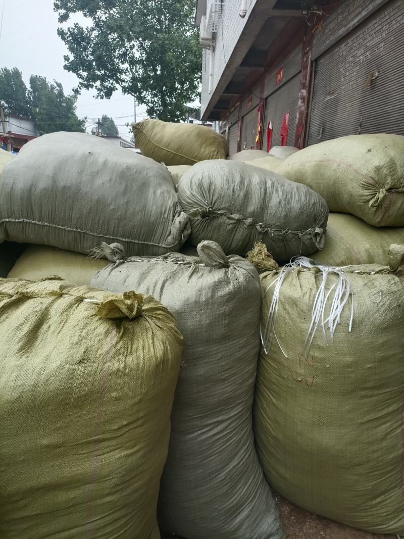 薄菏片野生批发无药香味浓入药泡茶绝绝子一手货源5斤起批