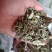 薄菏片野生批发无药香味浓入药泡茶绝绝子一手货源5斤起批