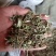 薄菏片野生批发无药香味浓入药泡茶绝绝子一手货源5斤起批