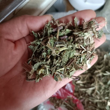 薄菏片野生批发无药香味浓入药泡茶绝绝子一手货源5斤起批