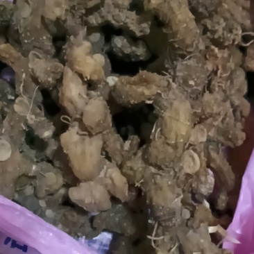 江西特产野生干货黄精无硫无任何添加剂可以直接食用