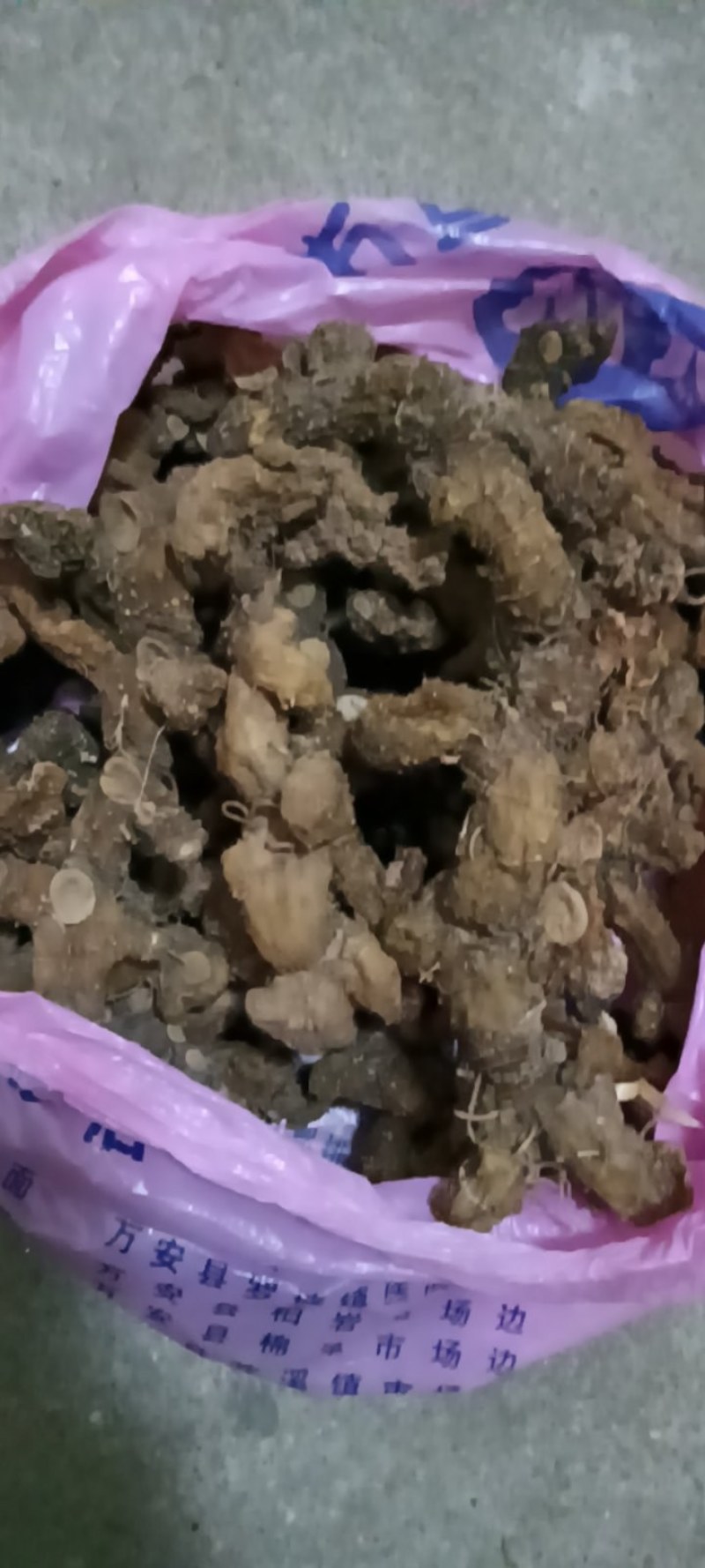江西特产野生干货黄精无硫无任何添加剂可以直接食用