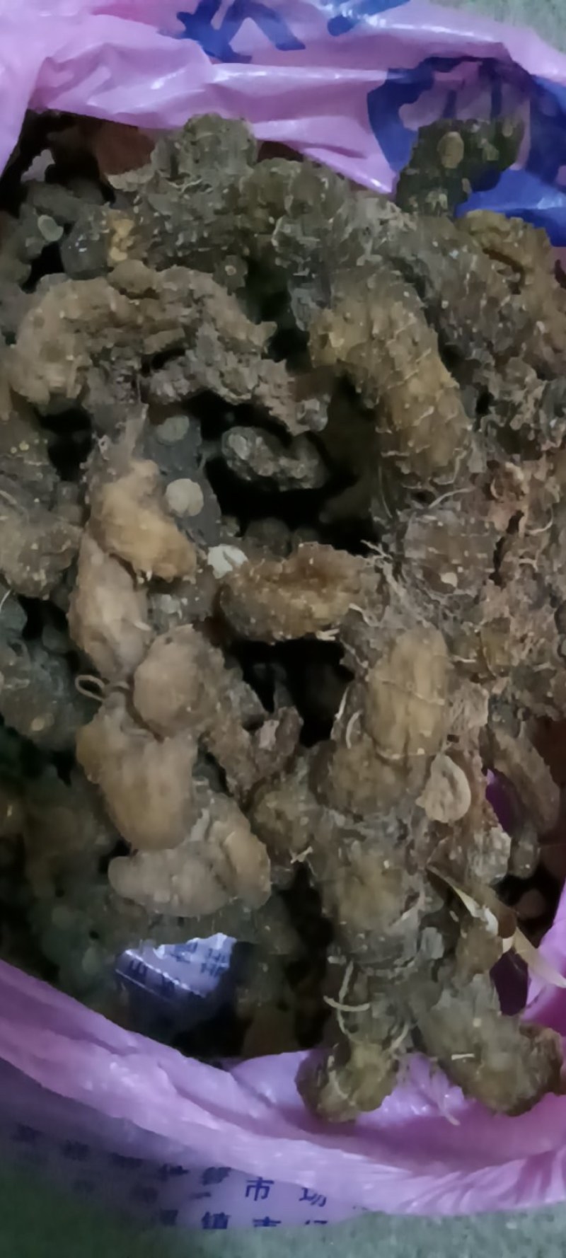 江西特产野生干货黄精无硫无任何添加剂可以直接食用