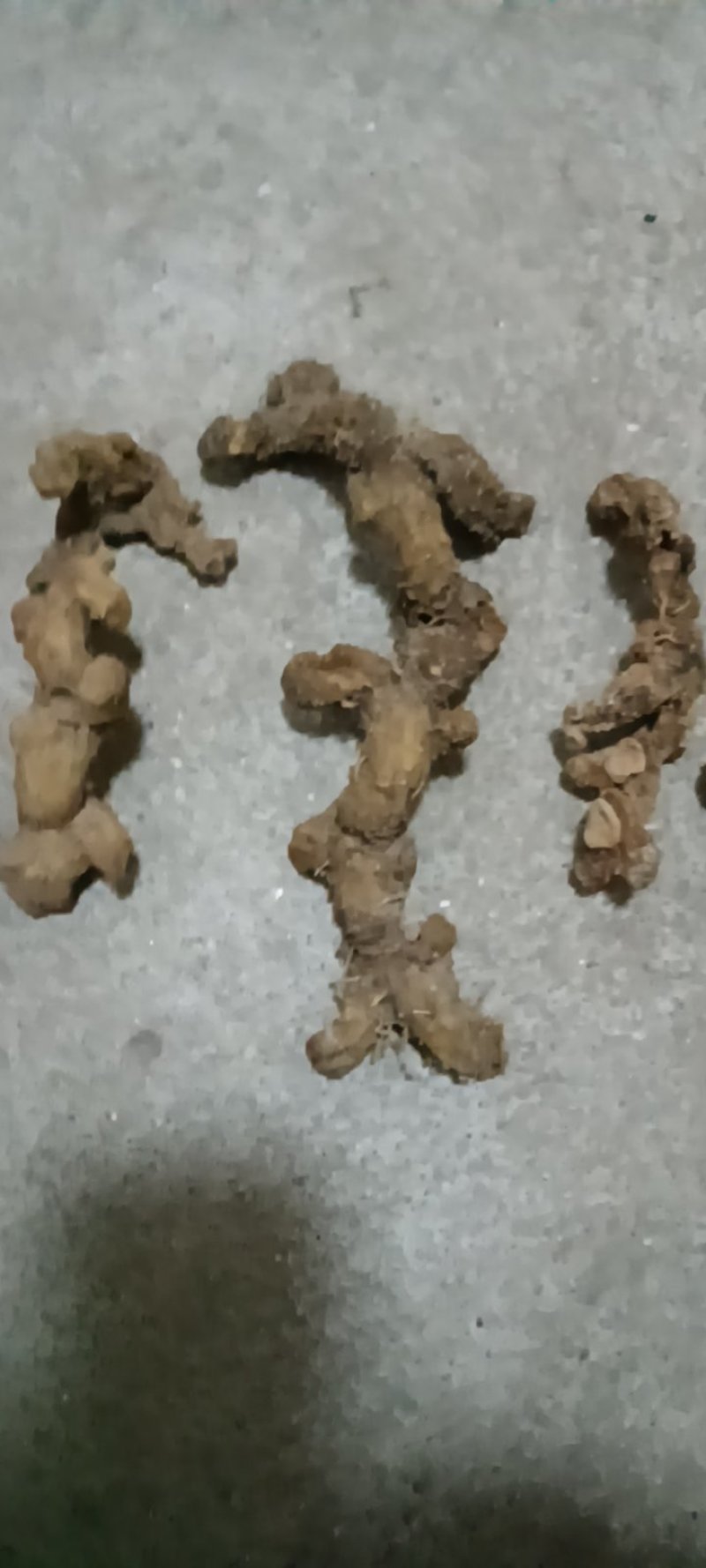 江西特产野生干货黄精无硫无任何添加剂可以直接食用
