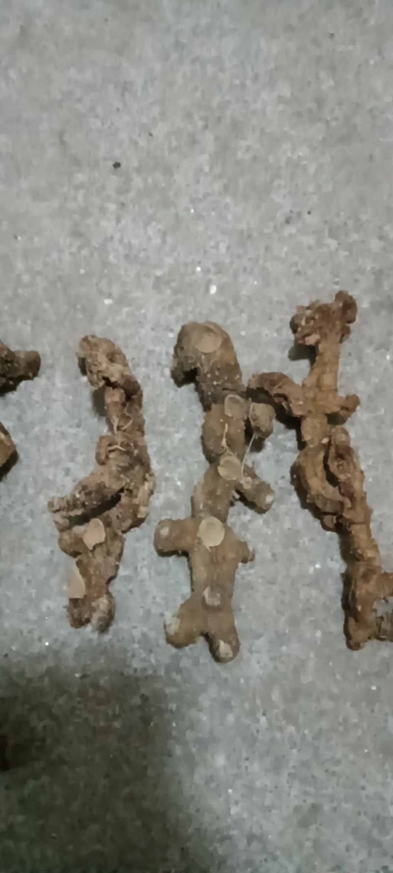 江西特产野生干货黄精无硫无任何添加剂可以直接食用