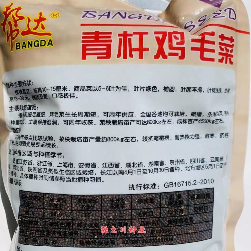 一斤装鸡毛菜种子青杆鸡毛菜种子四季蔬菜小青菜种子