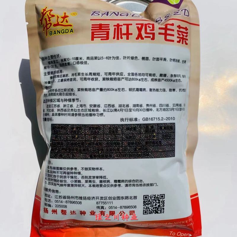 一斤装鸡毛菜种子青杆鸡毛菜种子四季蔬菜小青菜种子