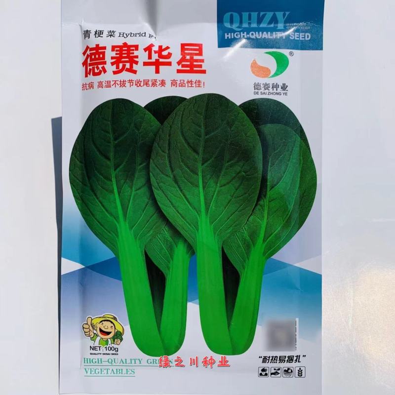 抗病高温不拔节易捆扎青梗菜种子德赛华星油亮青梗菜鸡毛菜