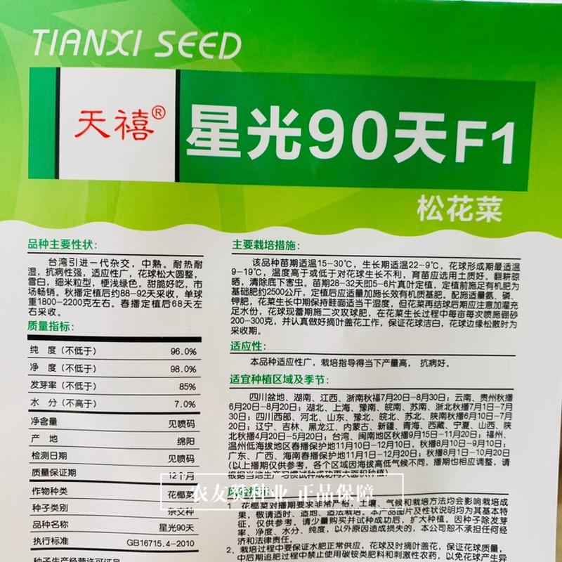 天禧星光90天松花菜种子台湾引进一代杂交品种细米粒型