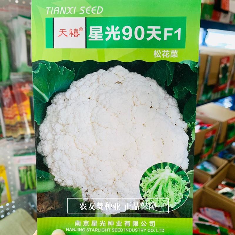天禧星光90天松花菜种子台湾引进一代杂交品种细米粒型