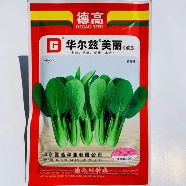 德高华尔兹美丽改良青梗菜种子油亮型青菜种子耐热耐湿易捆扎