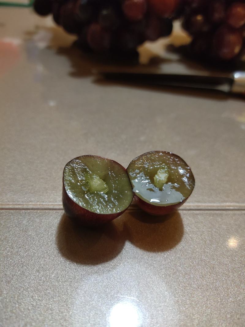 浪漫红颜葡红提、红色阳光玫瑰、葡萄一件代发，四大网红葡萄