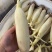 马踏湖水果藕，鲜藕尖。一手货源。支持一件代发