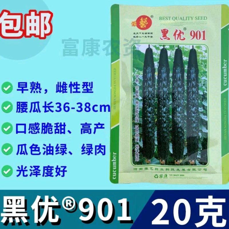 黑优901黄瓜种子抗病性好坐果多易管理商品性强绿肉脆甜