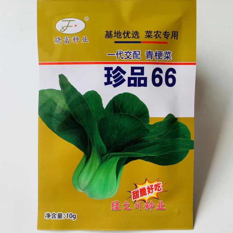 基地优选菜农专用青梗菜种子晓富珍品66耐雨性强甜嫩好吃