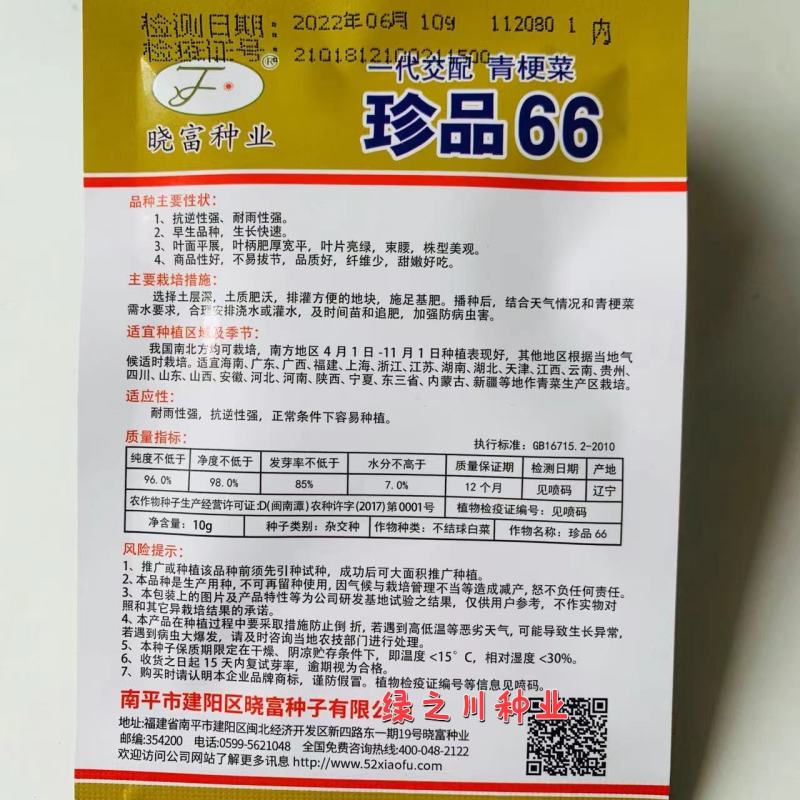 基地优选菜农专用青梗菜种子晓富珍品66耐雨性强甜嫩好吃