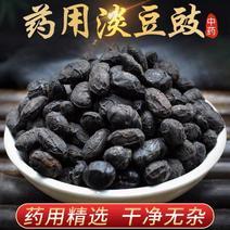 淡豆豉药用淡黑豆豉中药材葱白淡豆豉可代用茶